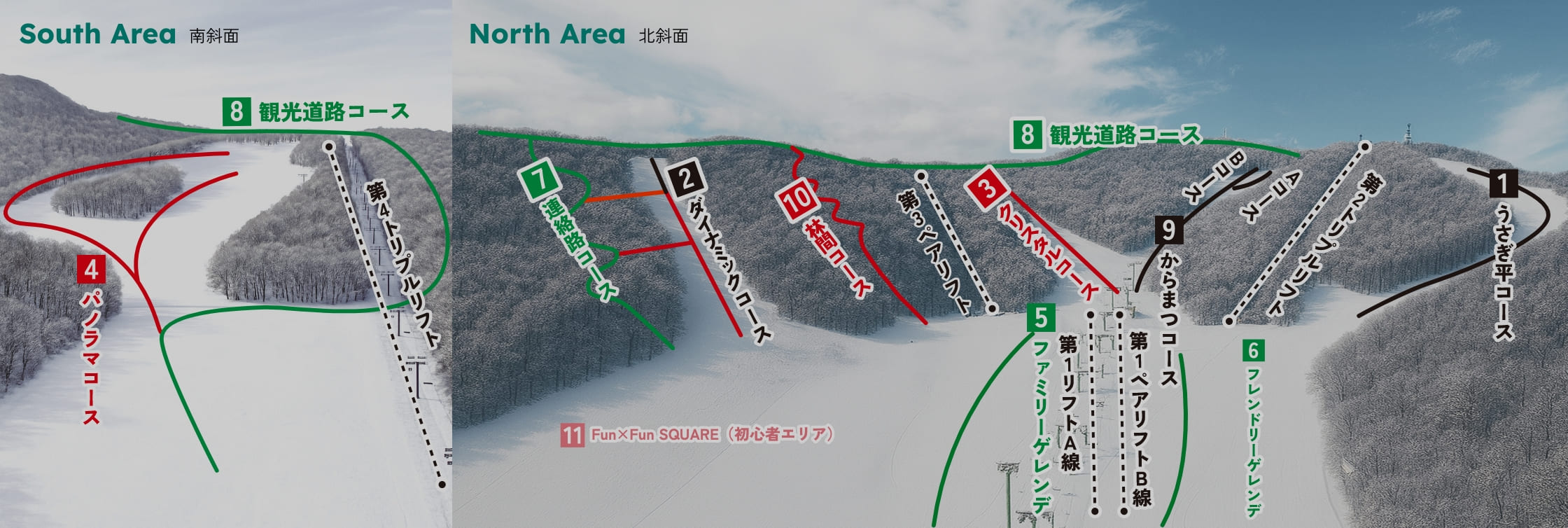 Ski area information